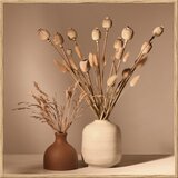 knor Slika 20x20 cm Still Life | shoptok.hr