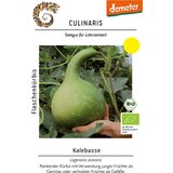 BIO buča kalabaš | Shoptok.si
