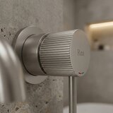 REA Bath ZIDNA SLAVINA Rea Lungo Stripe Brush Nickel | shoptok.hr