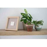 Dooky poklon set Okvir Happy Hands Handprint Frame - Wood | shoptok.hr
