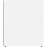 TV ormarić bijeli 100 x 35 x 40 cm od konstruiranog drva | shoptok.hr