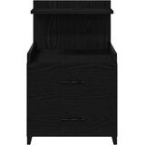  Noćni ormarići 2 kom s 2 ladice crne boje 40x36,5x62 cm | Eponuda.com