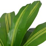 vidaXL umjetna biljka dracena s posudom 90 cm zelena | shoptok.hr