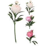  PEONIJA 60CM SORTO | Eponuda.ba