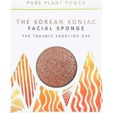 The Konjac Sponge Company The Elements Fire with Purifying Volcanic Scoria Full Size Facial Sponge | shoptok.hr