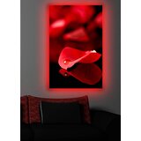Wallity Zidna slika sa LED osvetljenjem 4570DACT-9, 45x70 cm | Eponuda.ba