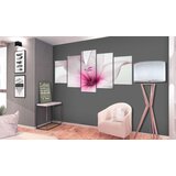  Slika - Amarylis: Pink Charm 100x50 | shoptok.hr