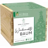 Feel Green ecobox "Božično drevo"