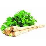 Nepoznato Peršun koren 1kg | ePonuda.com
