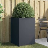 vidaXL Sadilica antracit 52 x 48 x 75 cm od hladno valjanog čelika Cijene