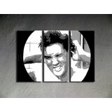  Ručno slikane slike na platnu pop art elvis (umetnicke slike) | ePonuda.com