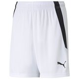 Puma Kratke hlače & Bermuda 70493104 pisana Cene
