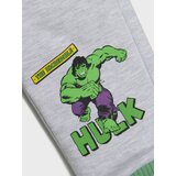Sinsay Donji dio trenirke Hulk | shoptok.hr