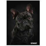 STREET Zvezek Friends A5 črte z robom | Shoptok.si