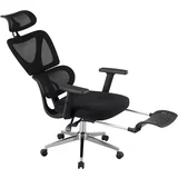 Kancelarijska ergonomska stolica sa dodatkom za noge ERGOTRON 5, Crna, Metalno postolje