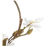 Ixia Venec Magnolia – | Shoptok.si