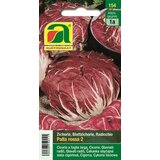 AUSTROSAAT Cikorija solata "Palla Rossa 2" Cene