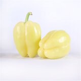 Maxi pijaca Paprika babura | Eponuda.com