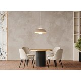 Globo viseča svetilka | Shoptok.si