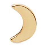 Daniel Wellington dw00400866 micro moon earring Cene