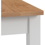 Bessagi Home Jedilna Miza Camden, Bela, Barve Bora, 160x90 | Shoptok.si