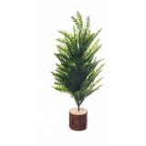 Lilium Jelka tuja 40 cm 587865 | ePonuda.com