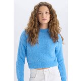 Defacto Regular Fit Half Turtleneck Knitwear Sweater cene