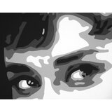  Ručno slikane slike na platnu pop art audrey hepbhurn | ePonuda.com