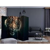  Paravan u 5 dijelova - Bengal Tiger II [Room Dividers] 225x172 | shoptok.hr
