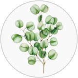ProArt Steklena slika (Eucalyptus, Premer: 20 cm) | Shoptok.si