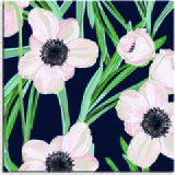 Pintdecor Zidni ukras Anemoni bianchi | shoptok.hr