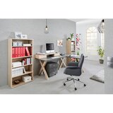 Mömax Pisalna Miza Mister Office, Barva Grafita | Shoptok.si