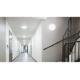 Steinel 081942 - KOMPLET 5x LED svetlo sa senzorom RS PRO S20 SC 15,7W/230V 4000K | Eponuda.com