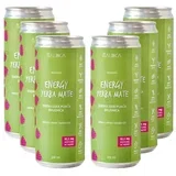 naravna energijska pijača brusnica 5+1 gratis