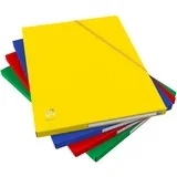 kotna mapa EUROFOLIO+ ALPINA, DIN A4, sortirano, (21650789)