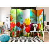  Paravan u 5 dijelova - Spring Tulips II [Room Dividers] 225x172 | shoptok.hr