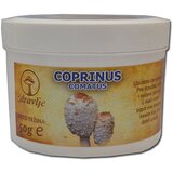 Zdravlje Coprinus comatus gljiva u prahu EP, 50g Cene