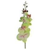 Dekordom cvet ORCHID 83cm 796072 - Green - DCS Cene