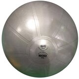Toorx Gimnastična žoga PRO AHF-148, 65 cm, siva u