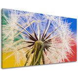  Slike na platnu cveće (moderne slike na platnu) | ePonuda.com