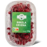 Maxi pijaca Ribizla Crvena 125g | ePonuda.com