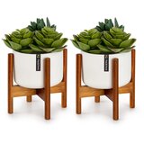 Fox & Fern thorn, posuda za cvijeće sa stalkom, 2-dijelni set, stil 1950-ih | shoptok.hr