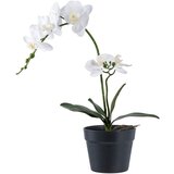 House Nordic Umetna rastlina (višina 47 cm) Orchid – Cene