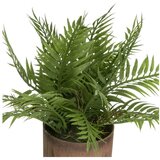 Casa Selección Umetne rastline v kompletu 2 ks (višina 22 cm) – | Shoptok.si