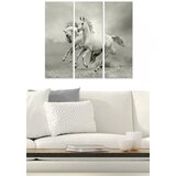 Wallity Set slika MDF99820919, 3 dijela | Eponuda.ba