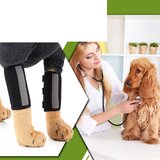 INF Opornica za koleno za pse za podporo ACL/CCL - zračna opornica za nogo za hišne ljubljenčke za okrevanje po poškodbah S, (5000124587) | Shoptok.si