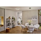 PAULMANN 79518 - LED/23W prigušiva plafonska svetiljka PURIC PANE 230V | Eponuda.com