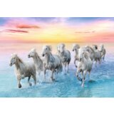 Puzzle 500 pcs. White horses galloping Trefl 37289 | shoptok.hr