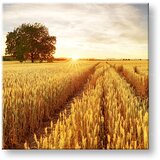  Slike na platnu LUKA_053-12 (moderne slike na platnu) | ePonuda.com