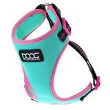 DOOG Am Rin Tin Tin XS zelen neon Cene